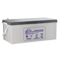 Leoch SMF Battery